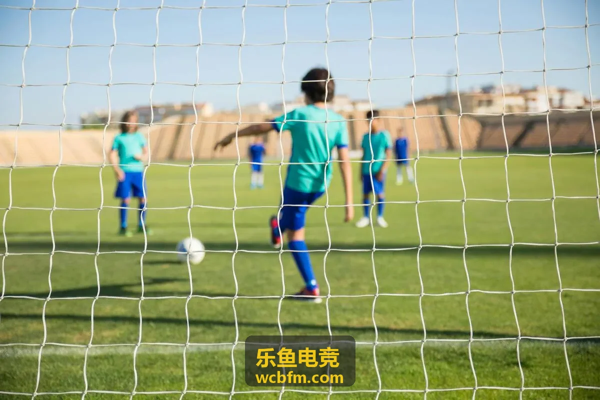 乐鱼电竞直播技术